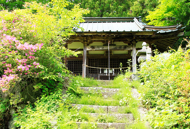 四季に佇む里山　自然いっぱいの観光名所をめぐる