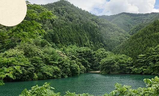 雨川ダム