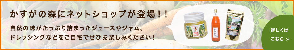 かすがの森にネットショップが登場！！