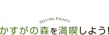 かすがの森を満喫しよう！